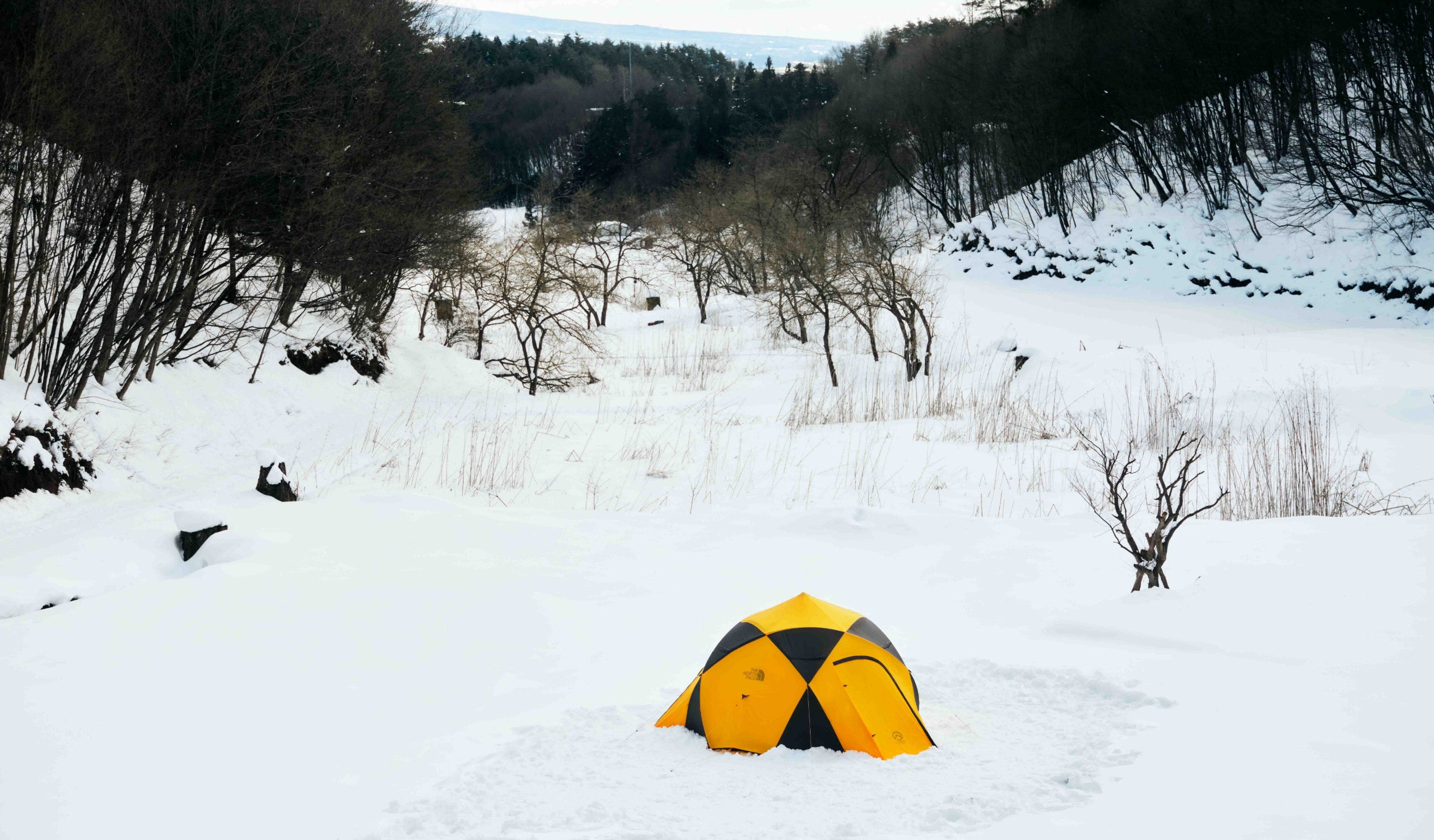Dome 5 | Online Camp Store | THE NORTH FACE CAMP