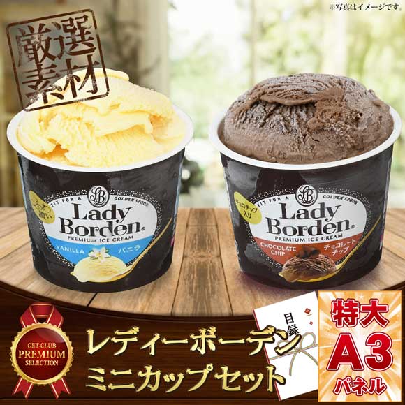 レディーボーデンミニカップセット【目録引換券】｜アイスクリーム