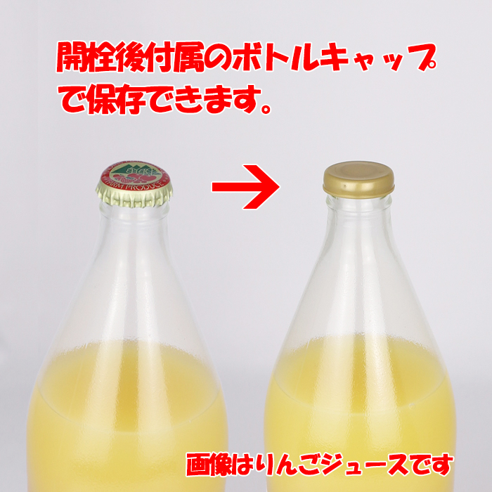 旬感搾り ブルーベリー 720ml【清水家（埼玉県秩父市） 送料別】【NS】