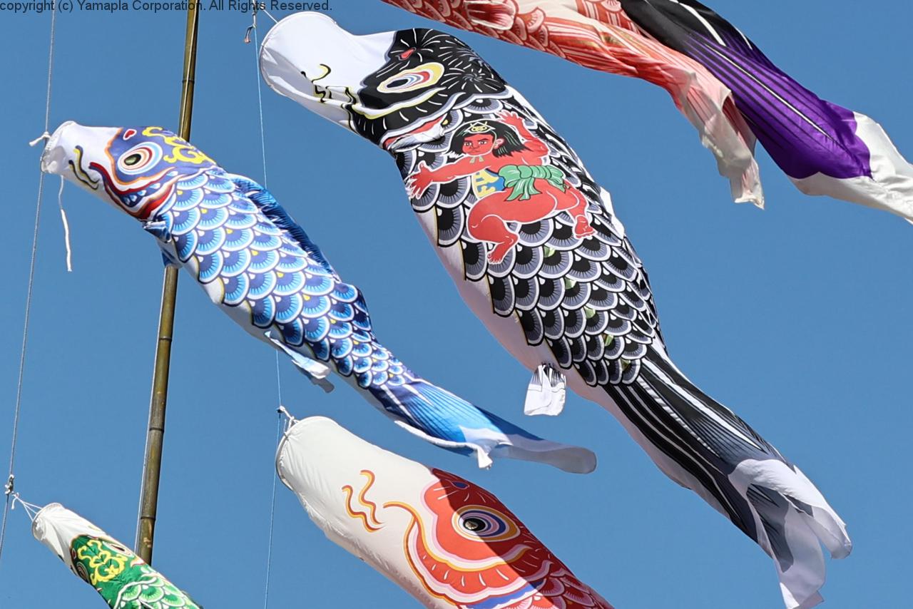 青空に泳ぐ鯉のぼり | 滋賀ガイド！