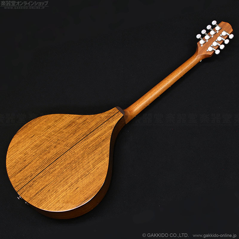 ウッドトップバンジョー(メーカー不明) ウッドトップバンジョー
