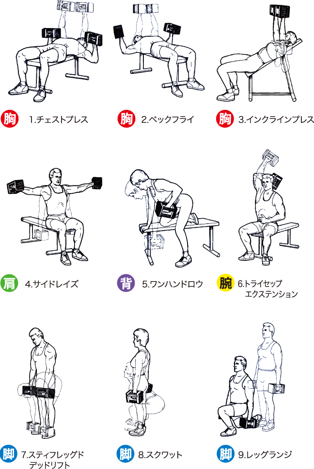 POWERBLOCK パワーブロック SP EXP 90LB | 東北拠点のトレーニング