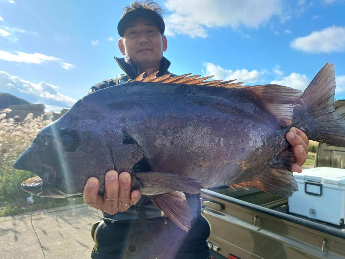 ふたつの石鯛釣り 銀ワサ狙いとクチジロ狙いの違い