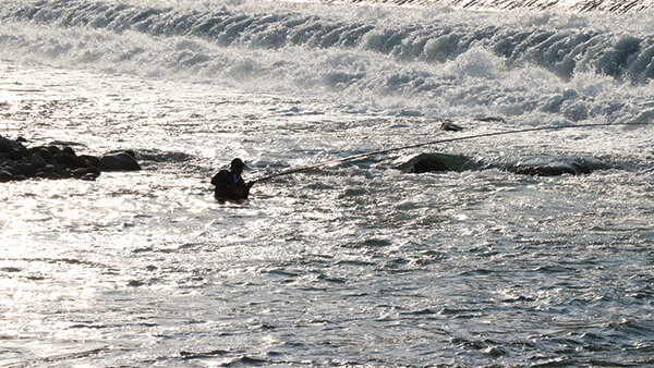 がま渓流 大ヤマメVS本流SPECIAL
