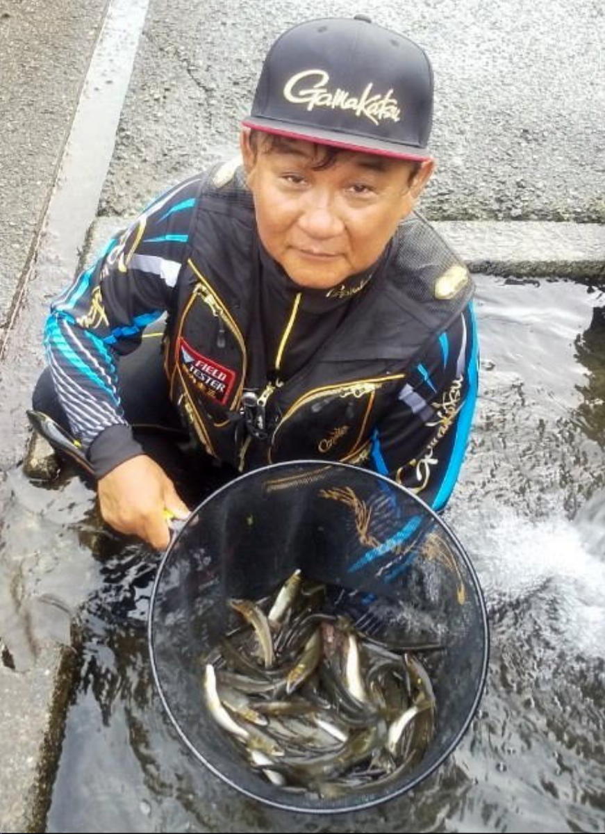 滋賀県・高時川アユ釣り | がまかつ