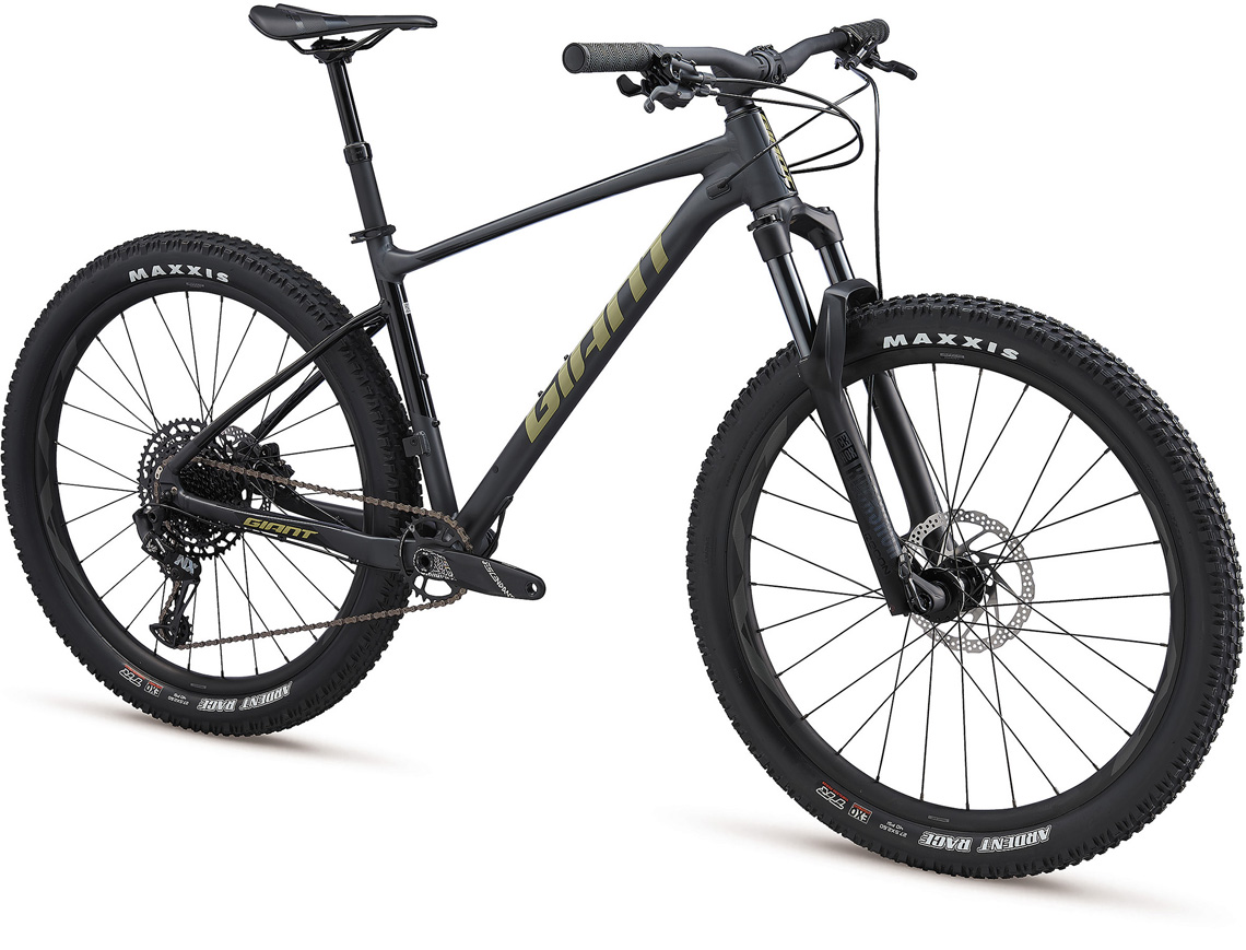 2020 GIANT Bicycles | FATHOM 1