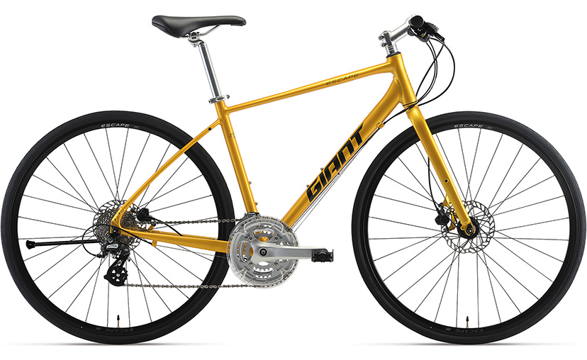 2023 GIANT Bicycles | クロスバイク