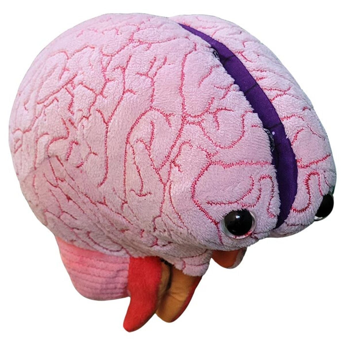 Brain Model - Educational Plush Display | GIANTmicrobes