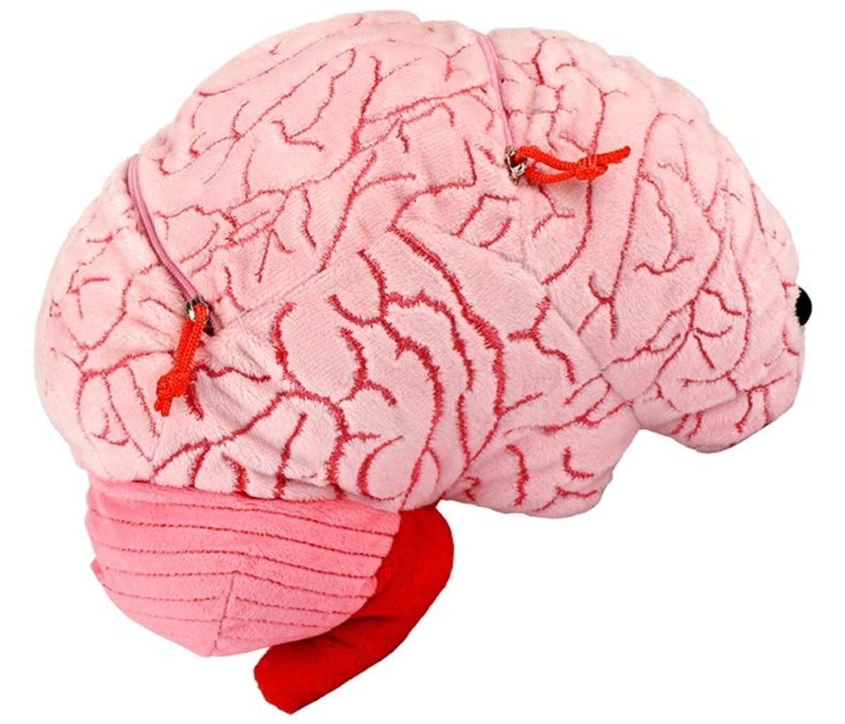 Deluxe Brain - Plush with Hidden Cells | GIANTmicrobes