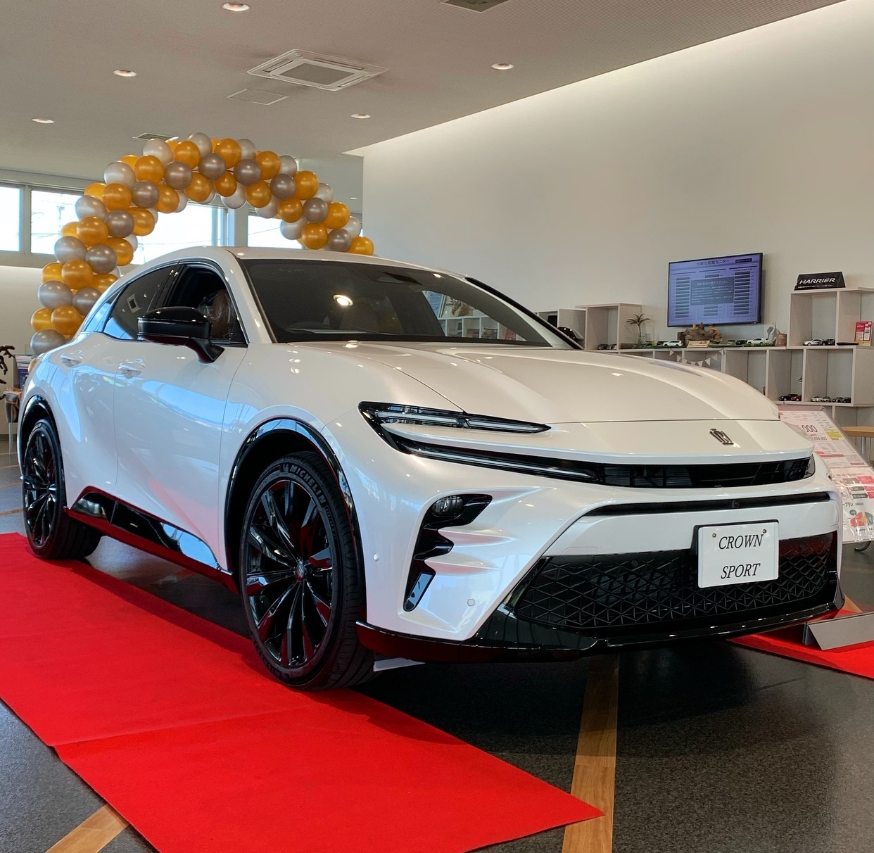 👑クラウンスポーツ関店で展示中👑