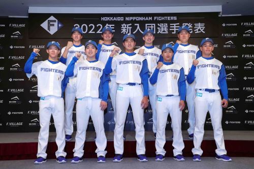 日ハム 山本晃大選手 入団会見 - 信濃グランセローズ オフィシャル