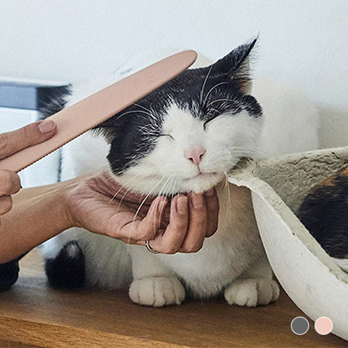 ねこじゃすり CZGDNJS1-GR | ソノタゲンセン | GREEN DOG & CAT