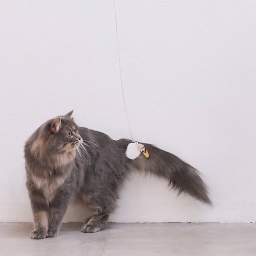 Quilt 付け替えできる猫じゃらしセット リアルフェザー CZGDQL25-00