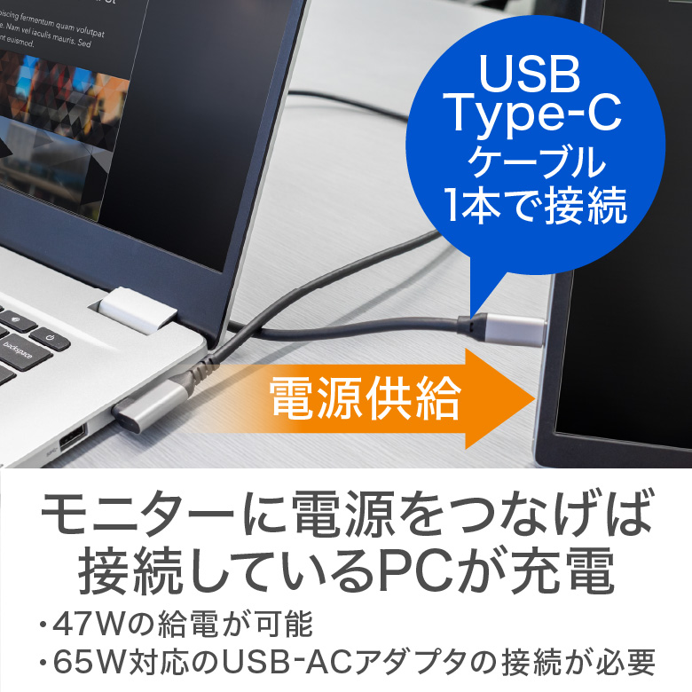 モバイルディスプレイ 14型 WUXGA (1920×1200) ソフトケース付き 薄型