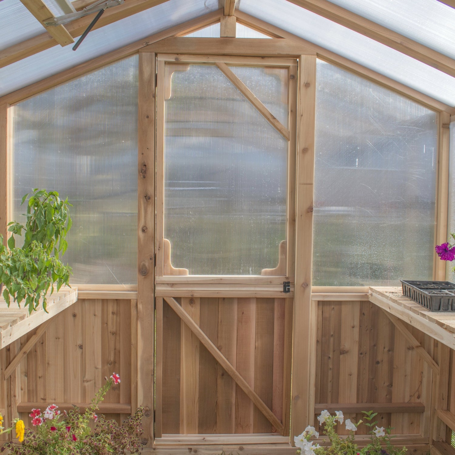 Outdoor Living Cedar Greenhouse - Greenhouse Megastore