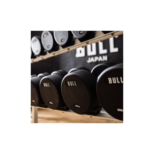 TPUダンベルセット（12～30㎏） （BULL）-ジムガレージ