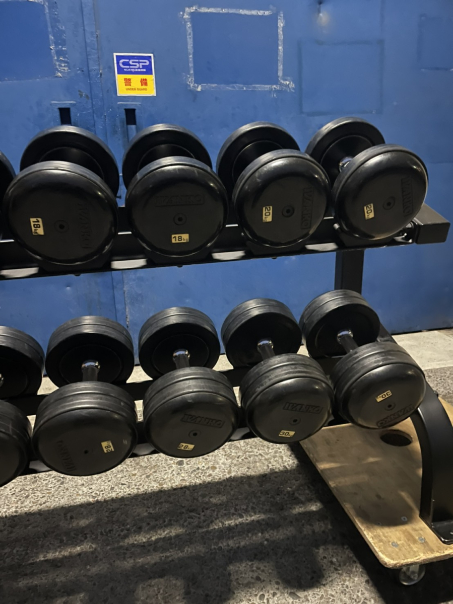 2段ダンベルラックセット（SDKRダンベル12～30kg）（中古）（IVANKO