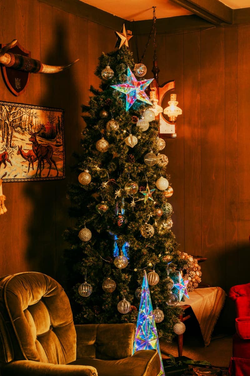 niko and  Christmas Collection 2024