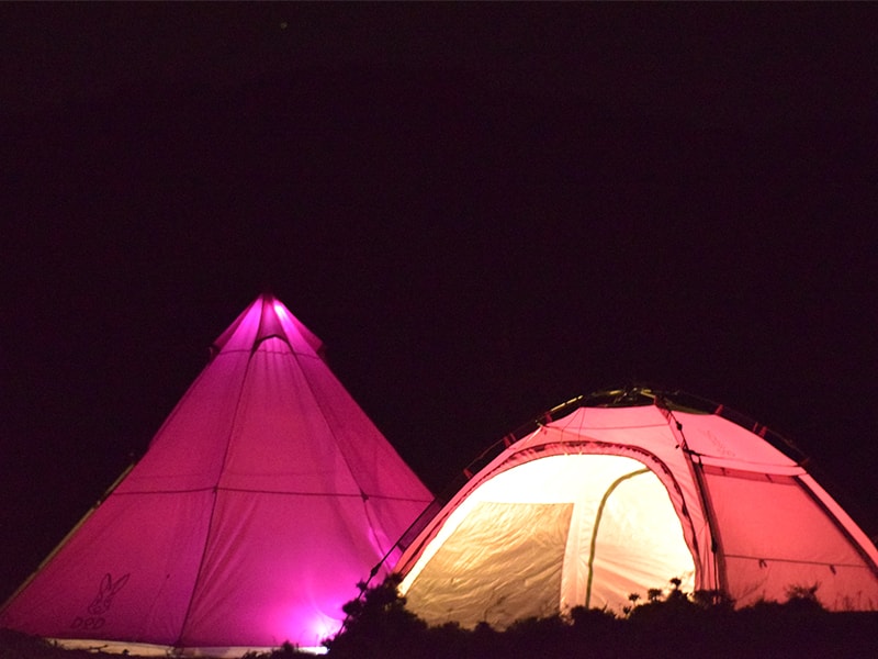 販売終了】ビッグワンポールテント（ピンク） T8-200P - DOD