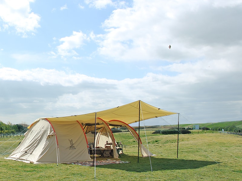 販売終了】チーズタープ（ベージュ） TT10-492-BG - DOD（ディーオー