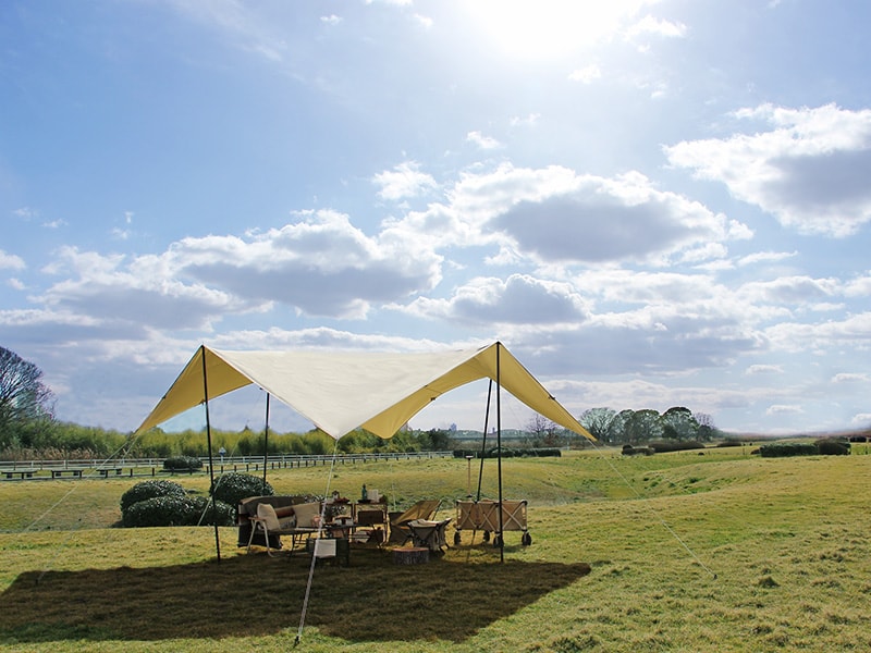 販売終了】チーズタープ（ベージュ） TT10-492-BG - DOD（ディーオー