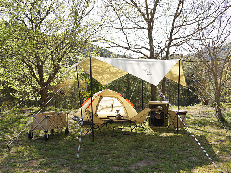 販売終了】チーズタープミニ（ベージュ） TT3-581-BG - DOD