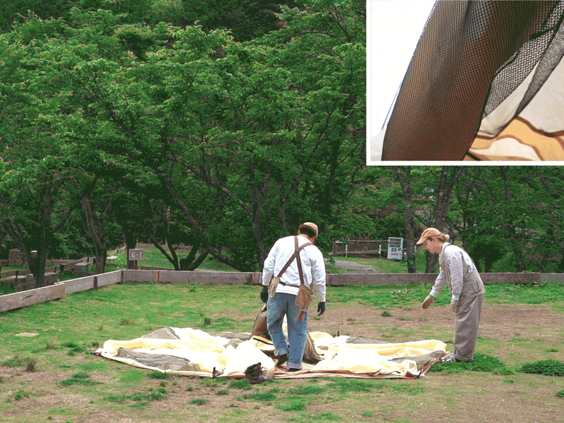 でかキノコテント - DOD（ディーオーディー）【公式ブランドサイト】