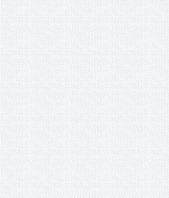 40番手ヘビーオックス ホワイト オックスフォード 無地 ドレスシャツ