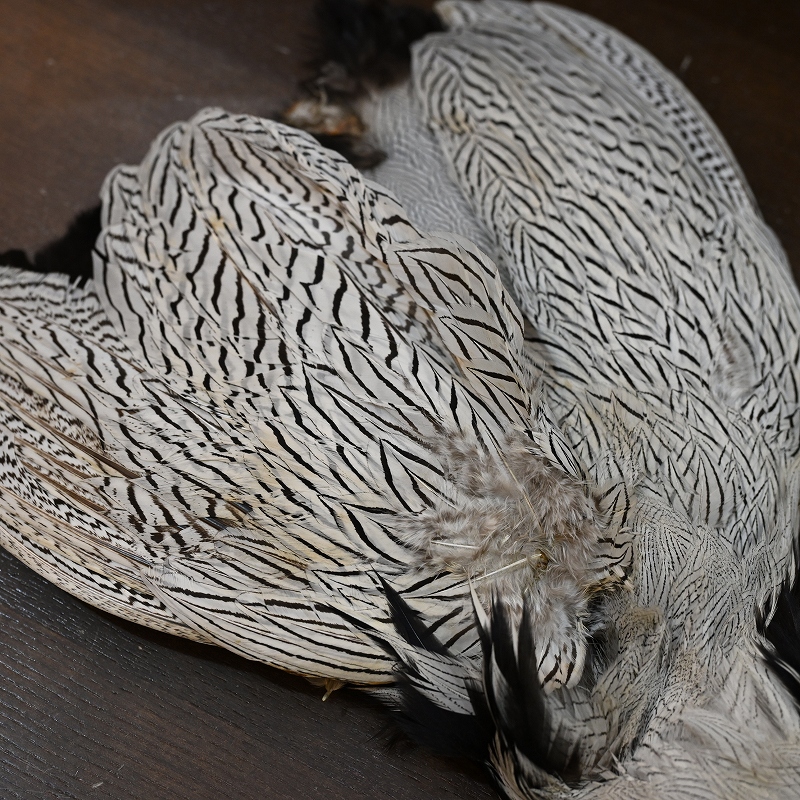 シルバーフェザント コンプリートスキン