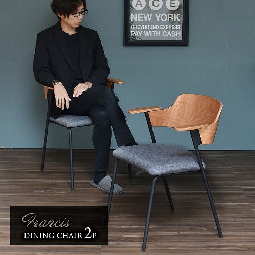 ダイニングチェア 【2脚セット】 FRDC0095FAGRY Francis パーソナル