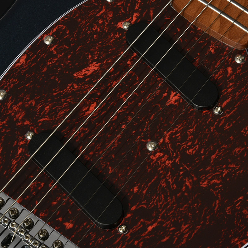 BMS-1-RSM/M-TTPG | Deviser ｜株式会社ディバイザー｜長野県松本市の