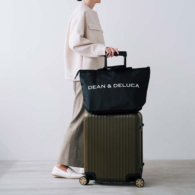 新品未開封品】DDロゴクリアボストンバッグ