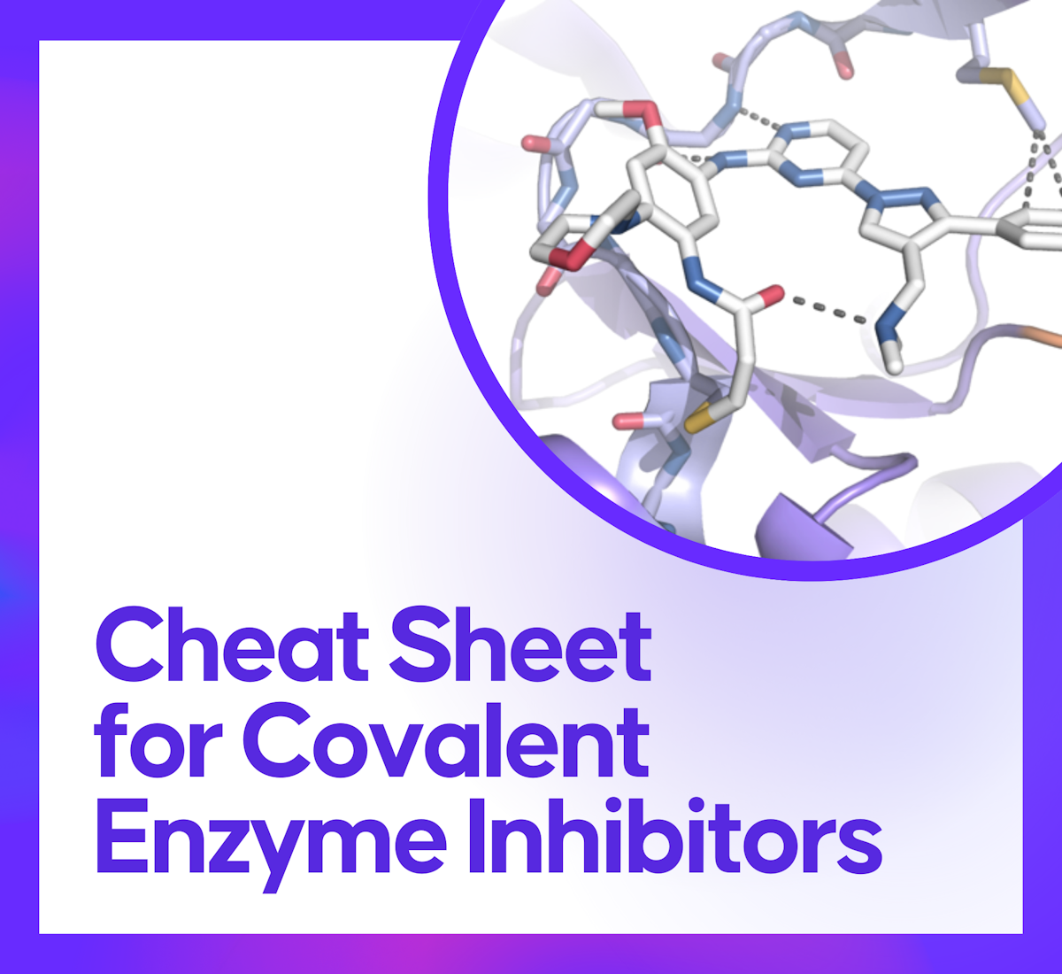 1736288996-cover-image.png?