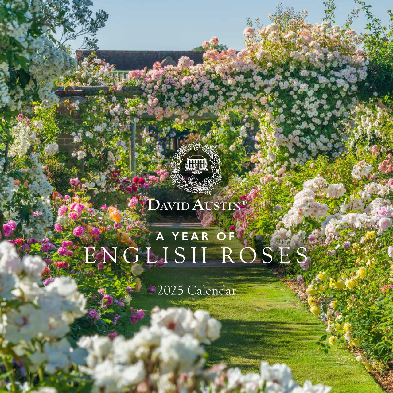 イングリッシュローズ・カレンダー 2025 - Wall Calendar 2025 – David