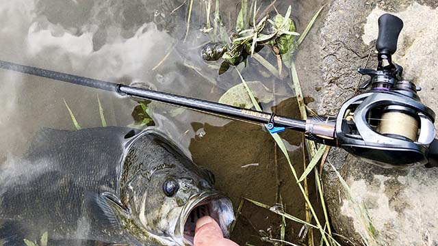 ダイワ リベリオン 662MLRB 実釣インプレ - 俺のバス釣りタックル