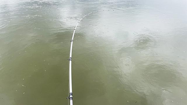 3代目 「ドットスリー 2021」 実釣インプレ | ダイワ ハートランド