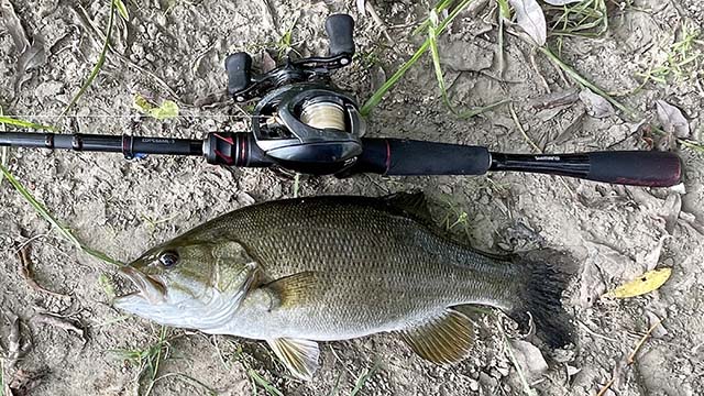 シマノ ゾディアス (パックロッド) | C66ML-5 実釣インプレ - 俺のバス