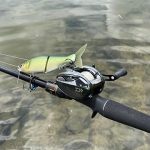 ダイワ リベリオン | おすすめ機種の厳選ラインナップ - 俺のバス釣り