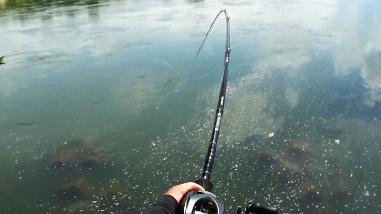 美しすぎるその曲がり!! ダイワ ハートランド HL 722MRB-20 実釣