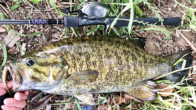 美しすぎるその曲がり!! ダイワ ハートランド HL 722MRB-20 実釣