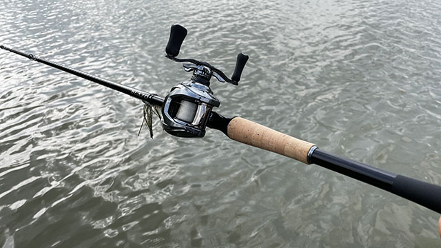 汎用性の高いビッグベイトモデル | ダイワ 21 ブレイゾン C611H-SB