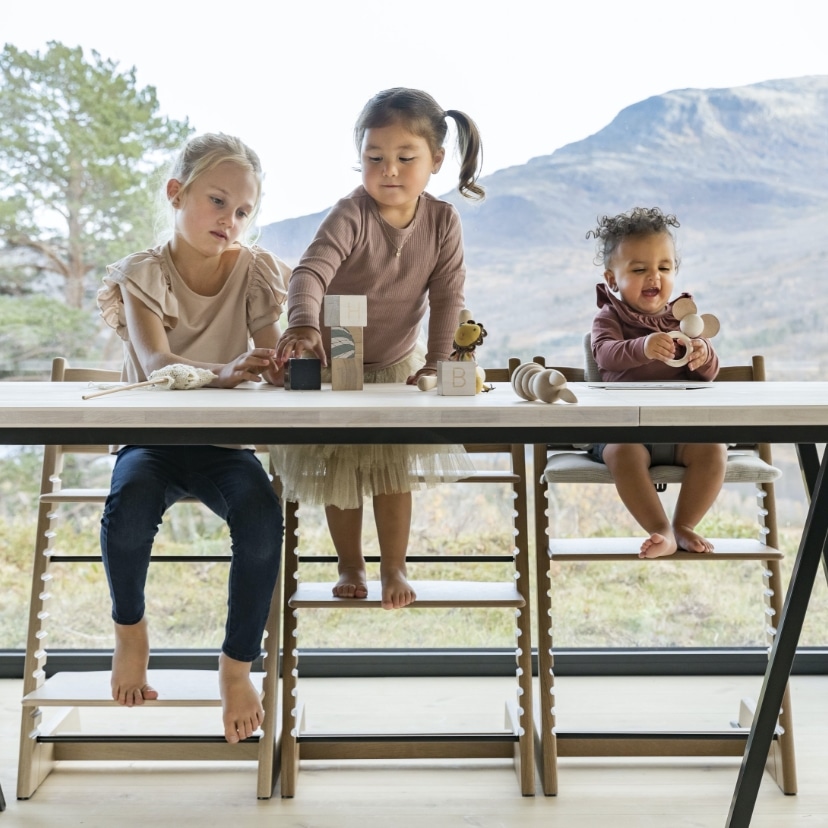 STOKKE ストッケ｜ハイチェア tripp trapp[DADWAY ダッドウェイ