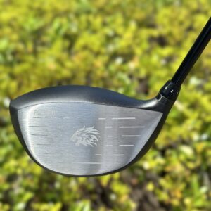 この飛距離性能はまさにエースドライバー！【エミリッドバハマ CV8 ACE