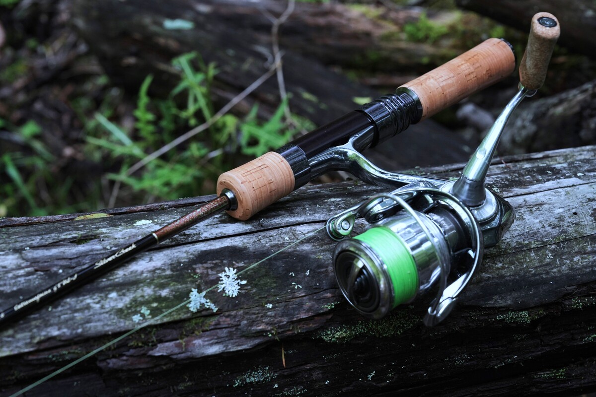 Silver Creek Extremefocus(ロッド)｜DAIWA