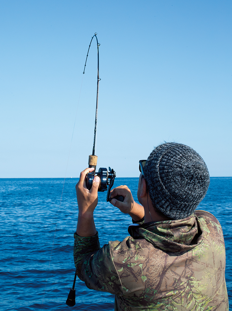 IMPRESSION｜SALTIGA15/15-SJ（ソルティガ15/15-SJ）｜DAIWA