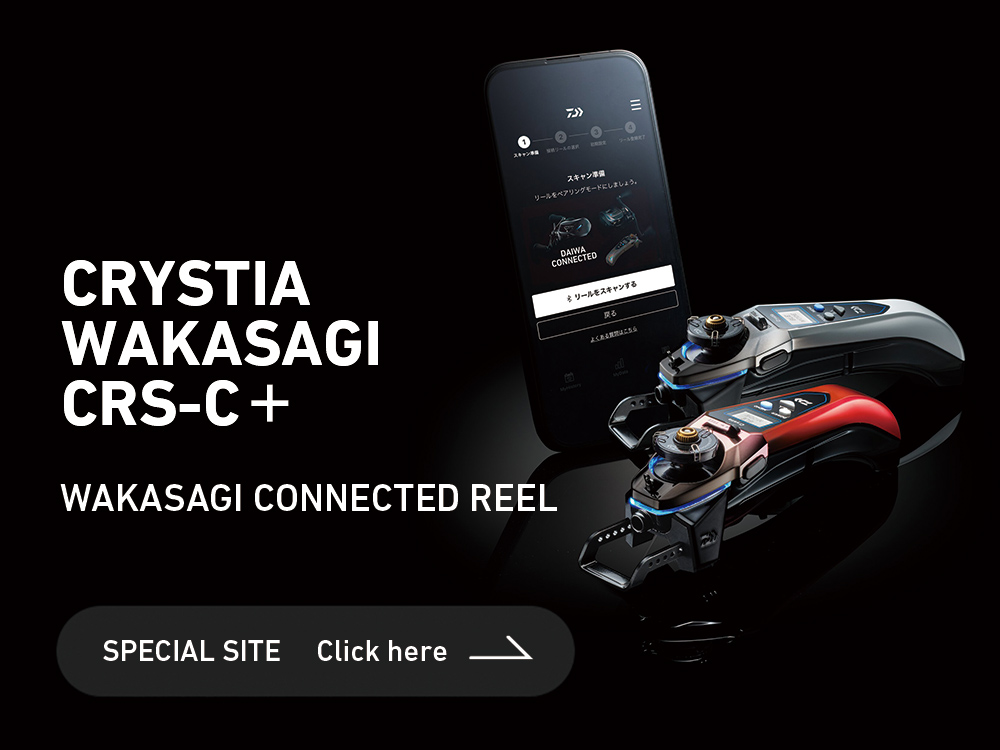 クリスティア ワカサギ CRS-C+(リール)｜DAIWA