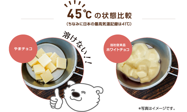 やまチョコ 【公式】大東カカオ