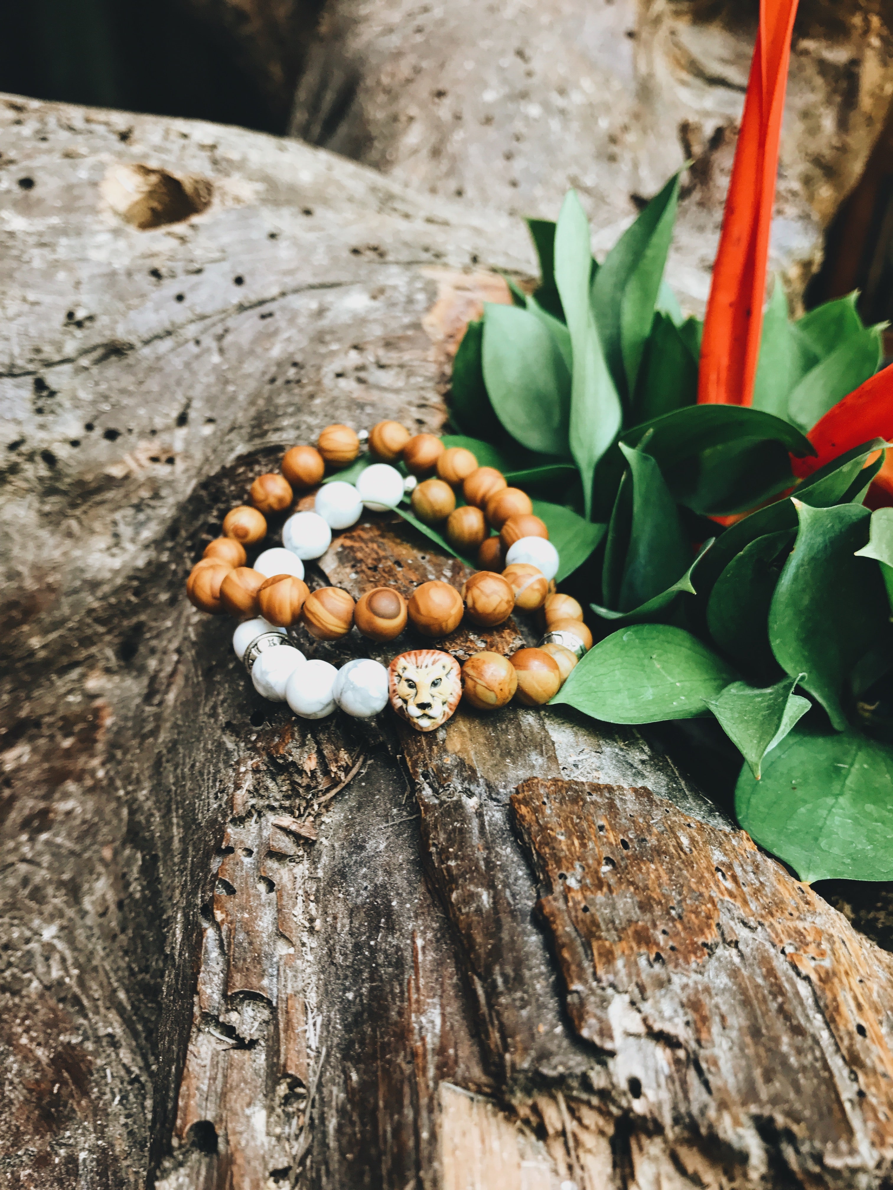 Lion Bracelet | Black Jaguar White Tiger | DivinityLA Bracelets