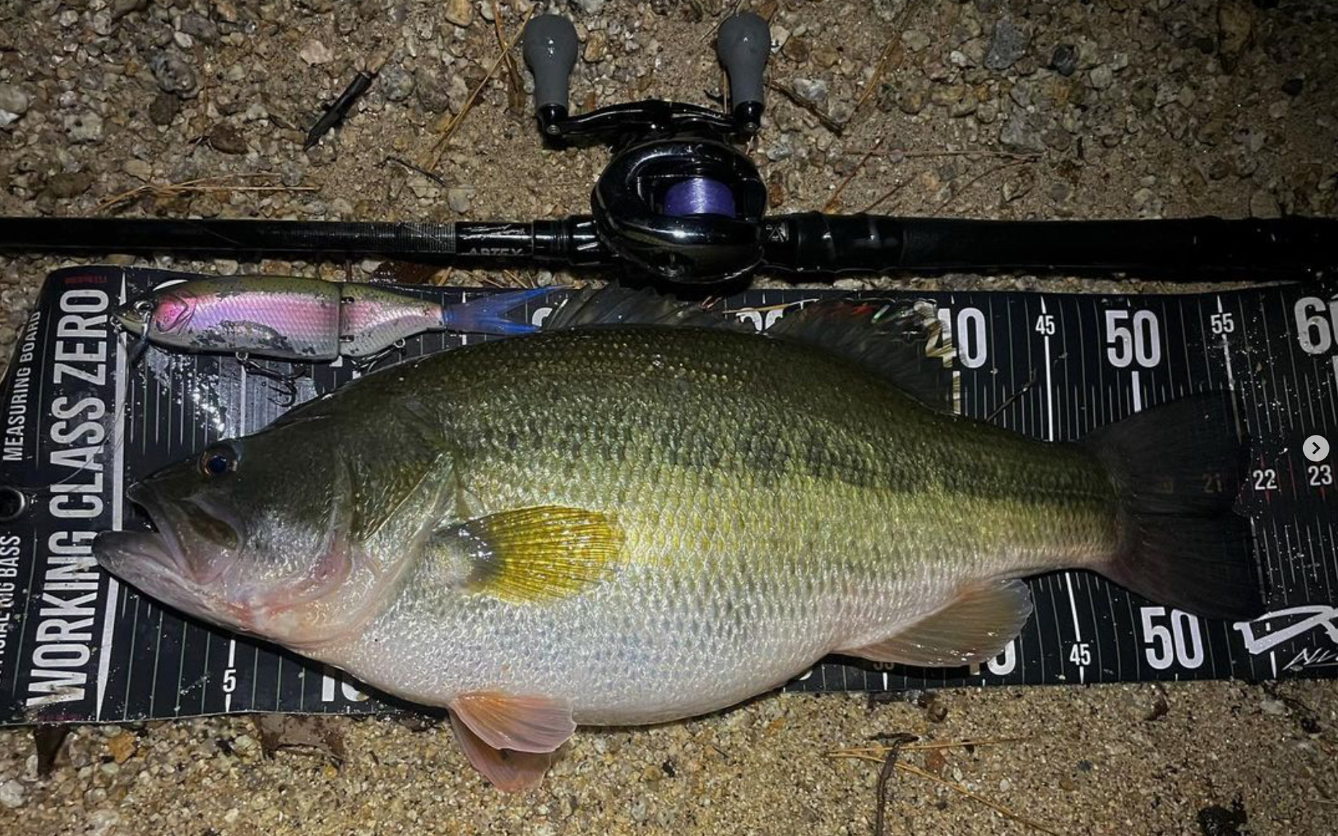 ARTEX “Border Patrol” GEN3 | DRT inc.