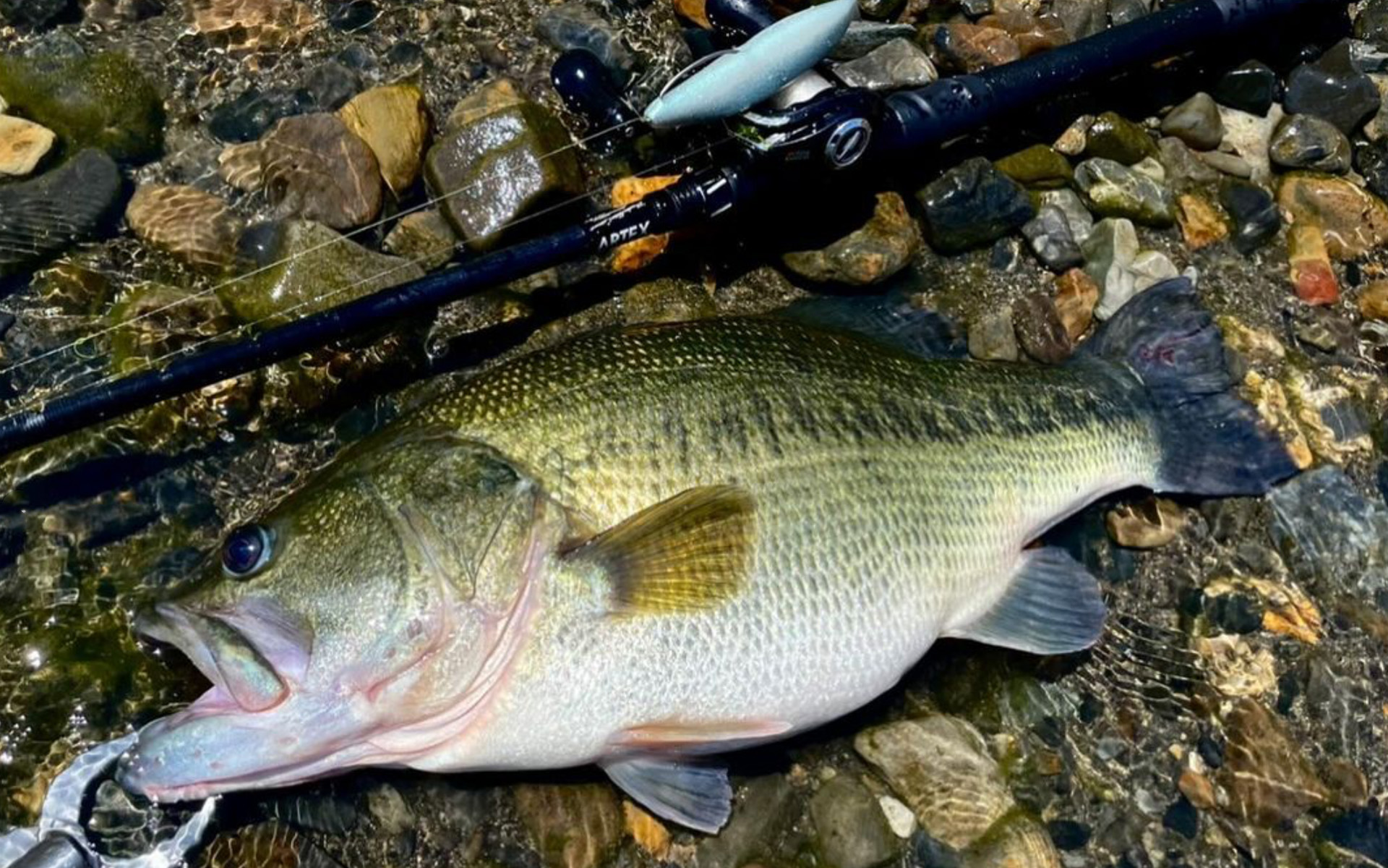 ARTEX “Border Patrol” GEN3 | DRT inc.